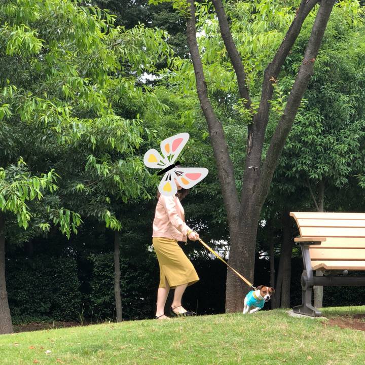 2f410311 cba1 415b b8f2 86ae451101f6 1529204387726