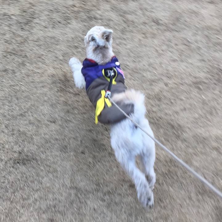 2f412691 7eb4 400b a9c9 009d0b2d13b0 1518934510440