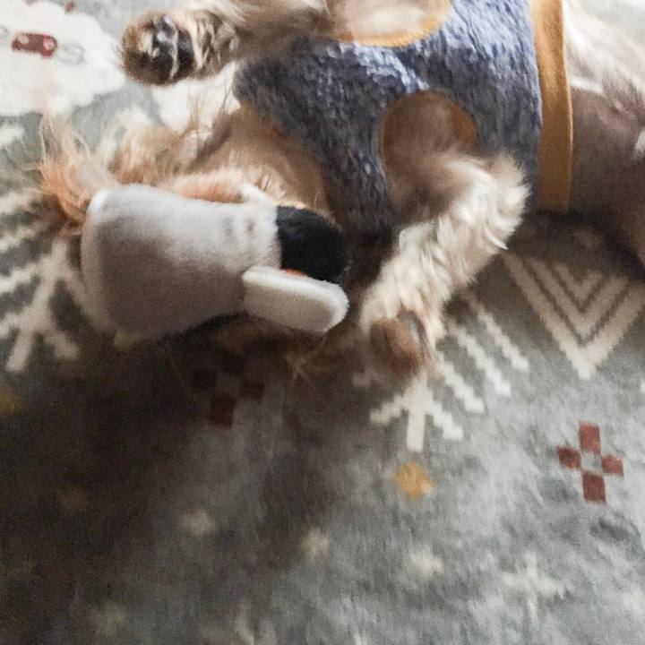 2f413c27 1820 40f6 89c1 907d592b1dfc 1542442429596