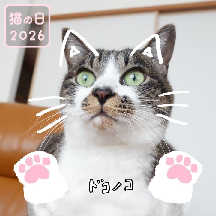 2f416f88 1327 49c4 929a 736dea282051 1771745352072