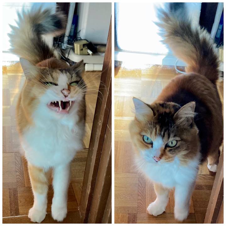 2f42092f 49b8 481d 8ec6 f0fd5f6df309 1668749270039