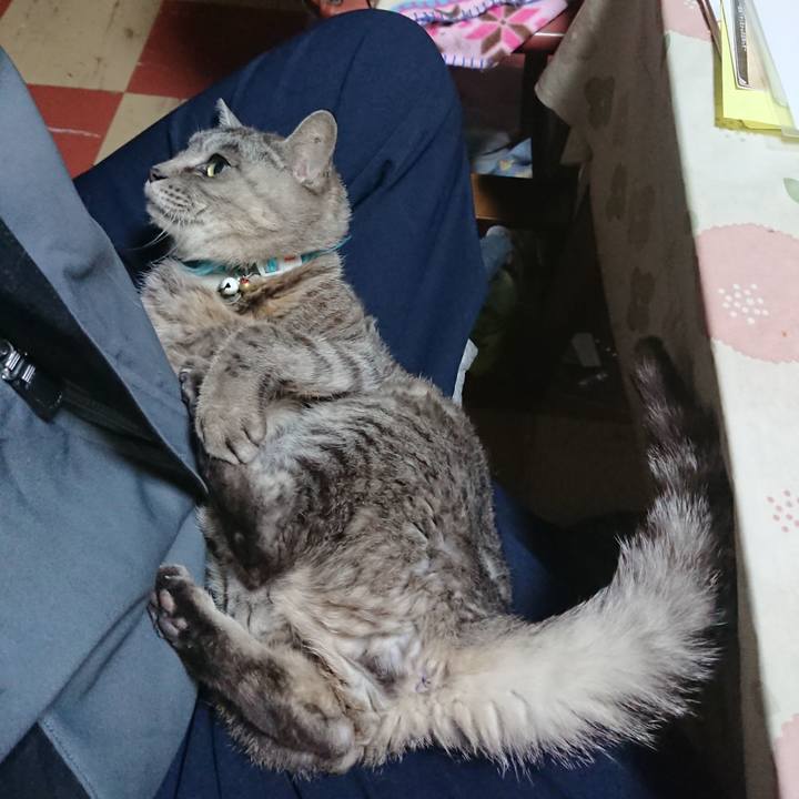 2f4209a0 bb18 4149 bcf6 d3b8088209da 1572904634100