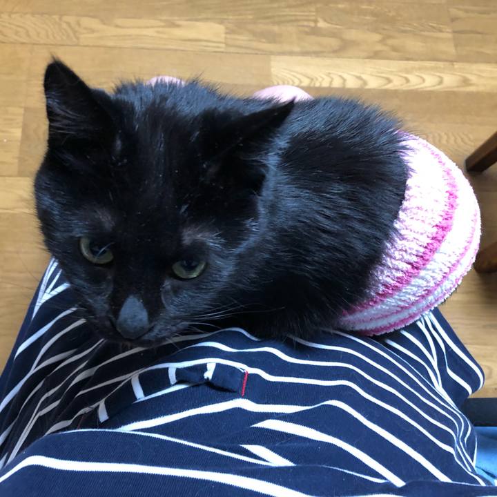 2f420b58 962c 46e1 b797 5d0a4c8bb308 1582735114313