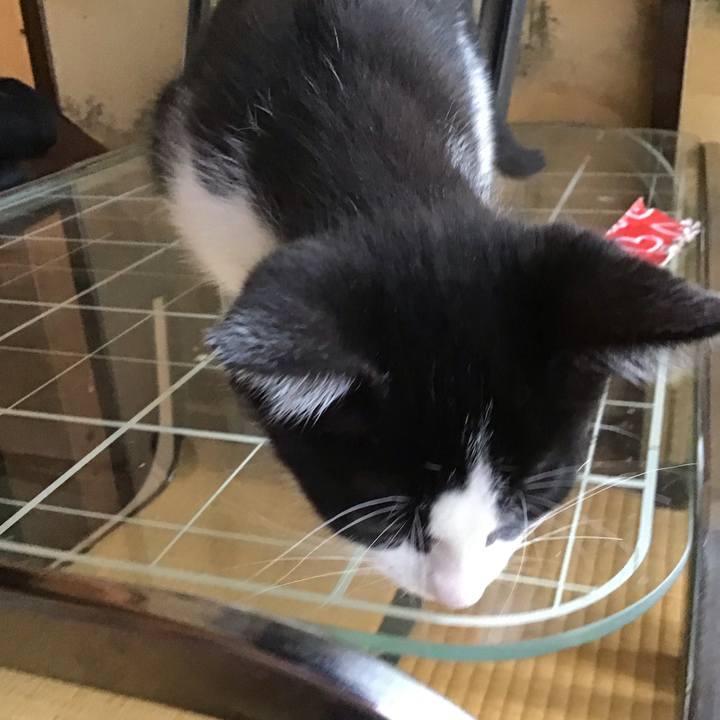 2f422126 9342 436d adde 1857fcc00f99 1625278204015