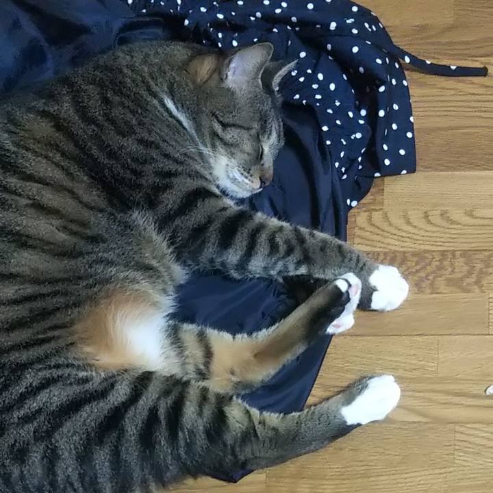 2f429d30 766b 4f23 81ea b676f9329812 1630932519177