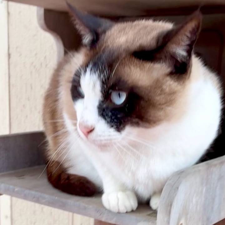 2f42a282 e860 4c43 8b98 c9063d44cf84 1747813630377