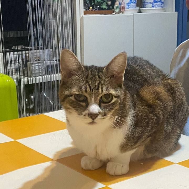 2f42e030 a2e3 4bd1 ba7e 533c60232159 1719667742801