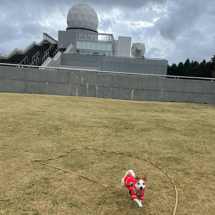 2f42e840 7611 4bf1 ae7f fd410caa6194 1617535566903