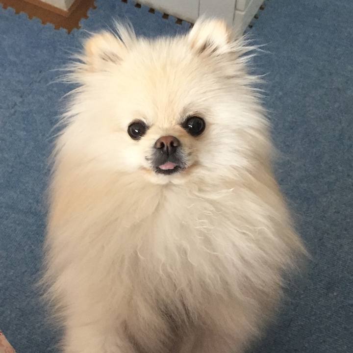 2f42fd53 2f97 4574 aa75 a7ef45c8078a 1522196901722