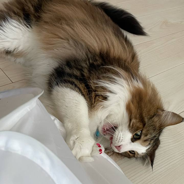 2f430ccc 4f73 4381 9ac3 9e43b0917b44 1716064088035