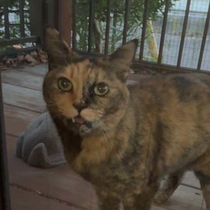 2f4337f1 da40 4f06 b29e 6bf43195928d 1762685602579