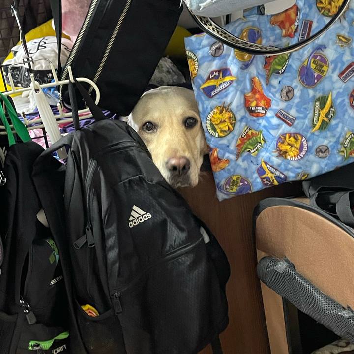 2f433d89 c39f 4e3b bf9b bb49e4b7c6b1 1710232621398