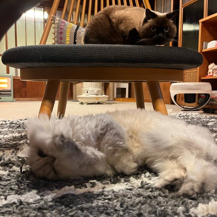 2f43435c c821 45ef 82e3 775382b64506 1671103996692