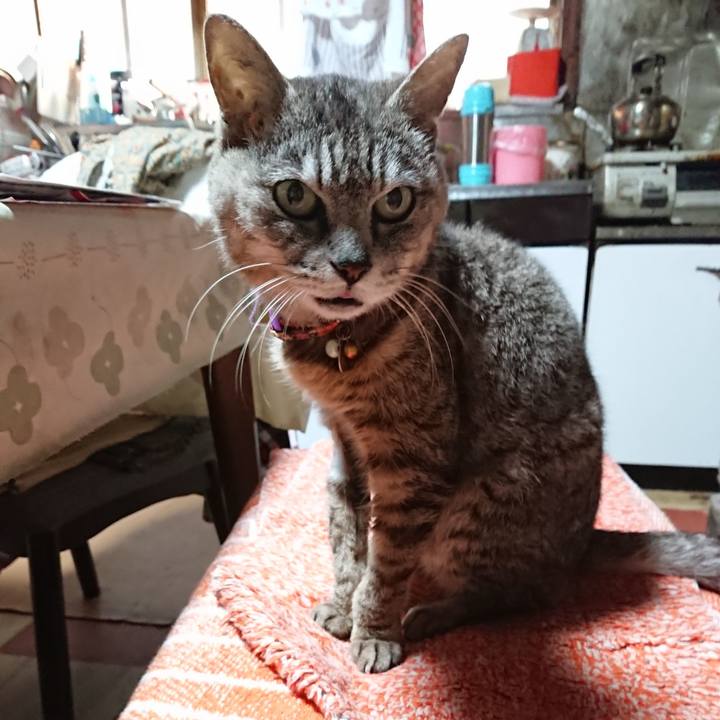 2f438d66 1be7 4b53 8cc8 e8f32ea66856 1592077504658