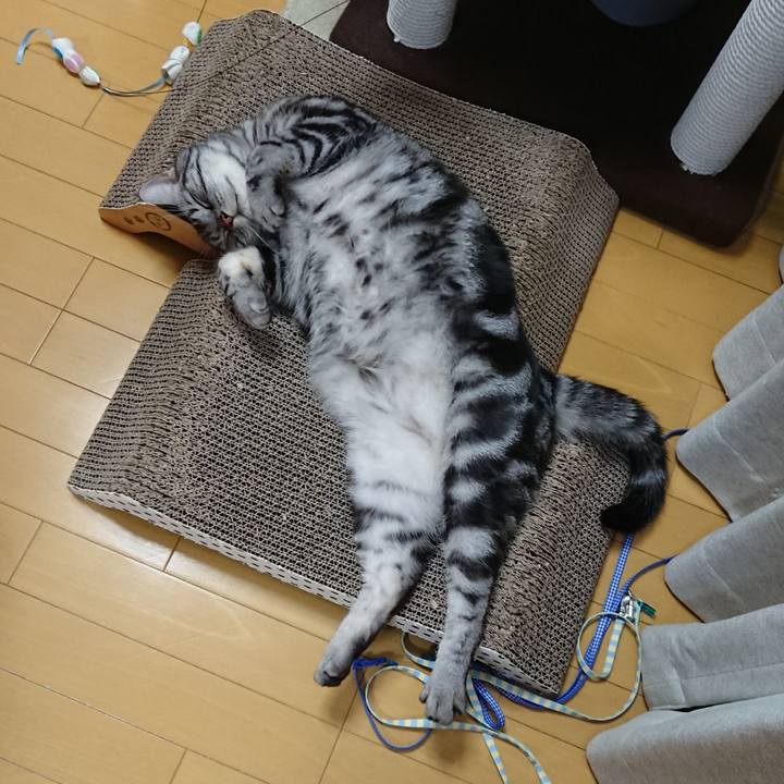 2f43bcb2 c0e2 4dbb 87e9 8a388da8b54b 1536627715228