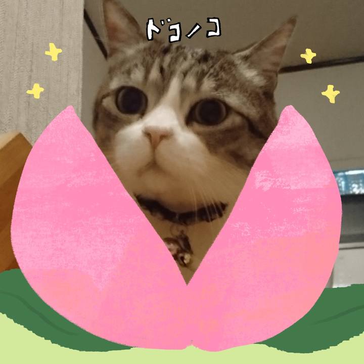 2f43bf9d ea16 414f b42f 011f09b6f3f9 1772256957850