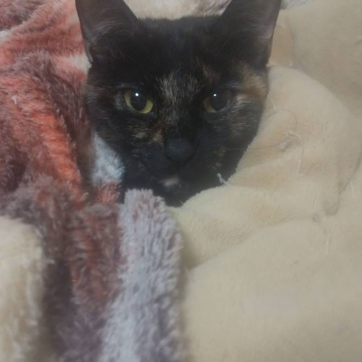 2f447cdd 3fc3 4b86 a5af c2a9006a850a 1769635458703