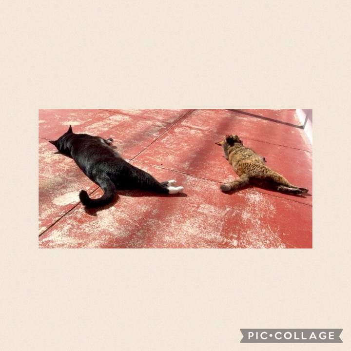 2f4487b1 8a16 41e5 a7a8 9ad2a22e88c9 1760927013010