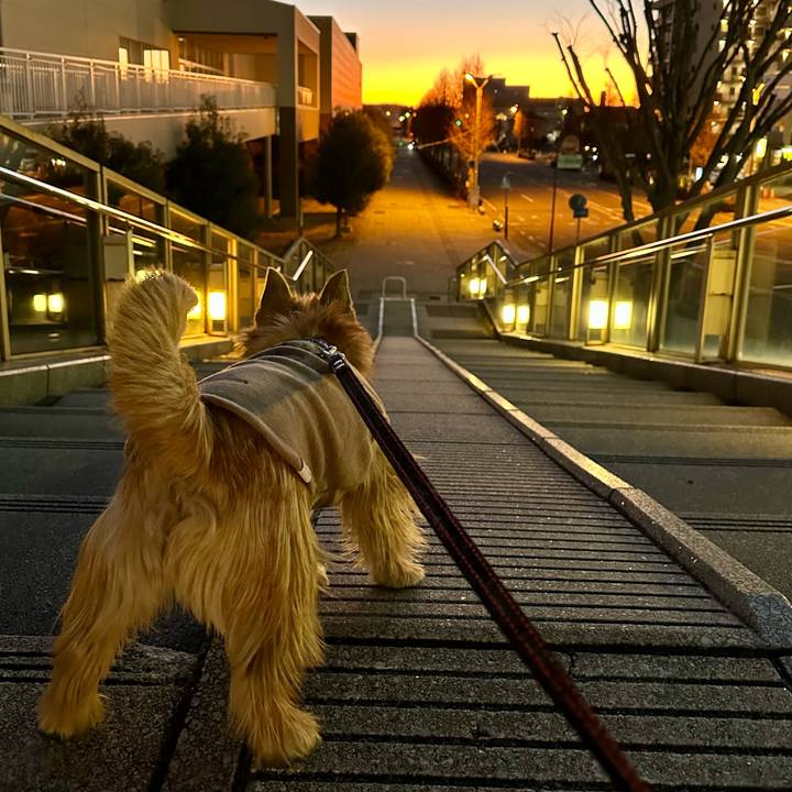 2f44c19d 3989 45bc afbc 27455f3596ca 1736496522789