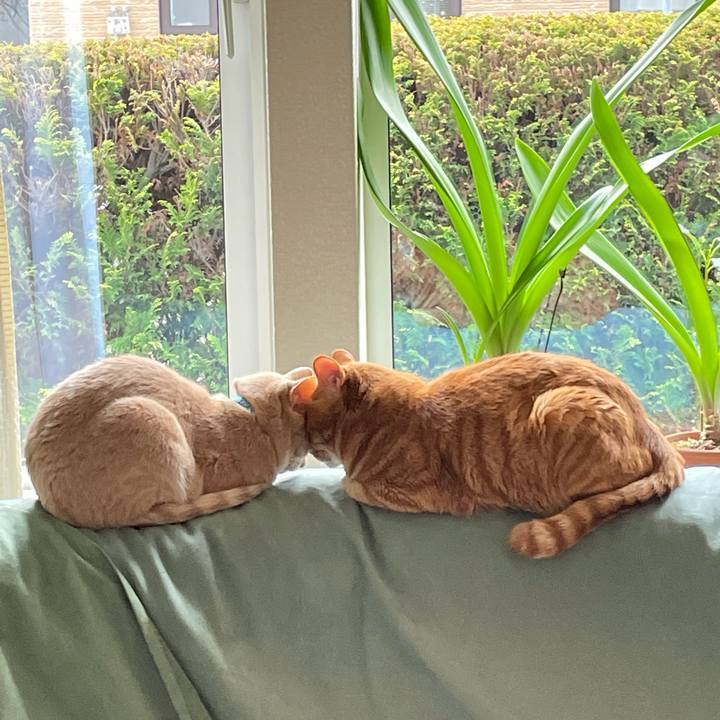 2f44ed32 dbe6 48f9 a8d0 4e4bf0a33049 1620905597733