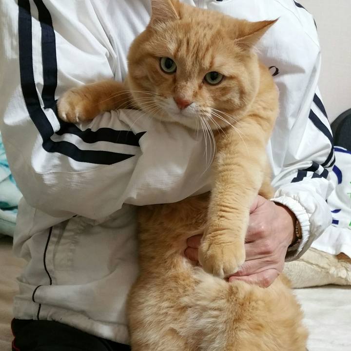 2f458b2f 85e2 4ca7 a1bb 65de6eda9cce 1514509101518