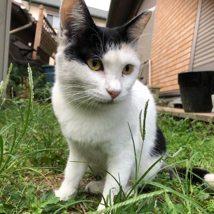 2f460588 9981 477b afc2 cc3d3332de26 1599172167743