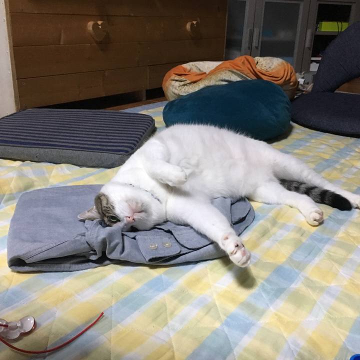 2f460a84 7a49 4ab7 bbcd 019b538f65b9 1533218645666