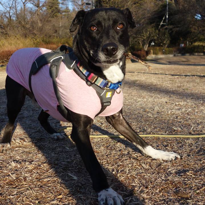 2f4620d2 ee8c 45a6 9789 5e3228b834af 1644109239722