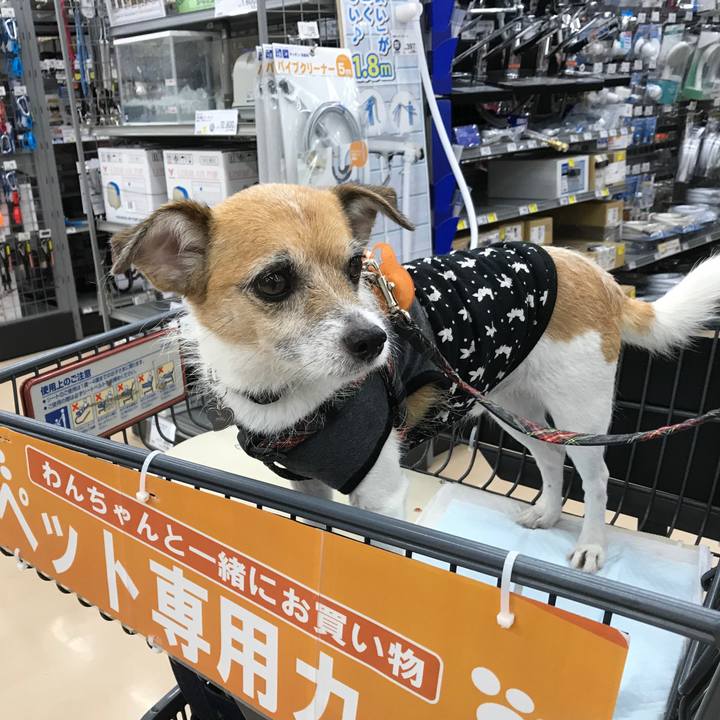 2f4626a5 e1ae 4ac0 9794 d2e790a7a336 1571032820159