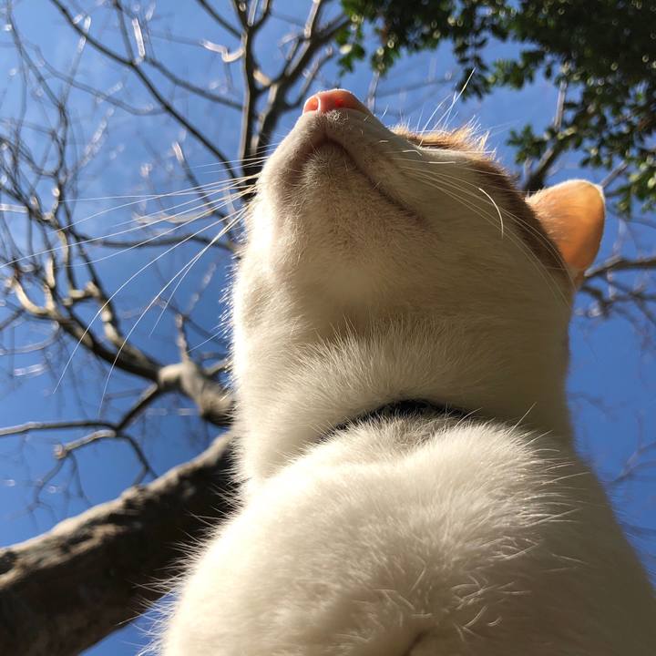 2f464892 8752 4c94 90a1 ec7f6c75fbb0 1543675485882