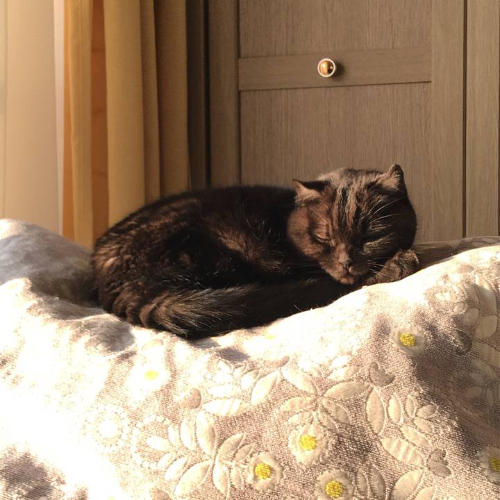 2f4673b4 2a9c 41a9 be18 69c2e78610f3 1512225057483