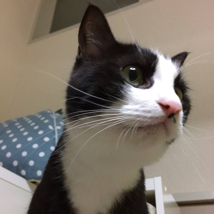 2f467ad9 7821 4e59 8146 65c34c20b565 1509844277216