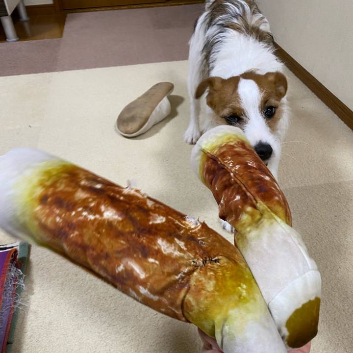 2f46c6de 644a 468e 9801 6e5a684543db 1640089007160