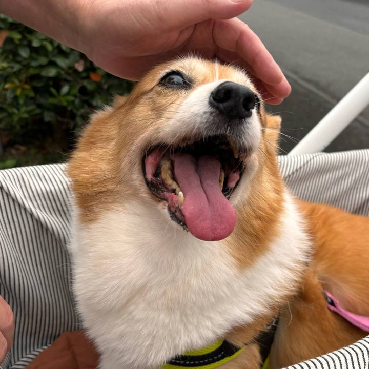 2f46ff3d 3540 4f2e 9cc5 1c0aba860707 1760575685688