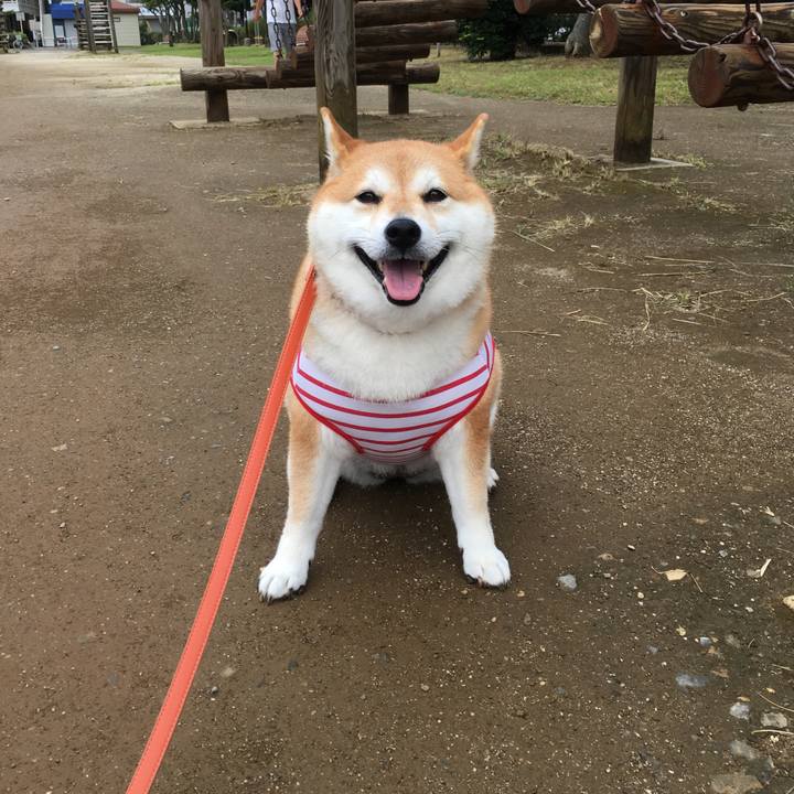 2f470503 c3bd 4479 878a d88f755292a9 1566426970564