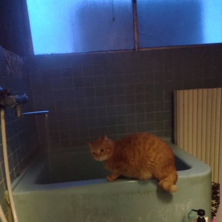 2f475f83 8a7e 4f33 a086 fb81a0fb6d69 1710753852125