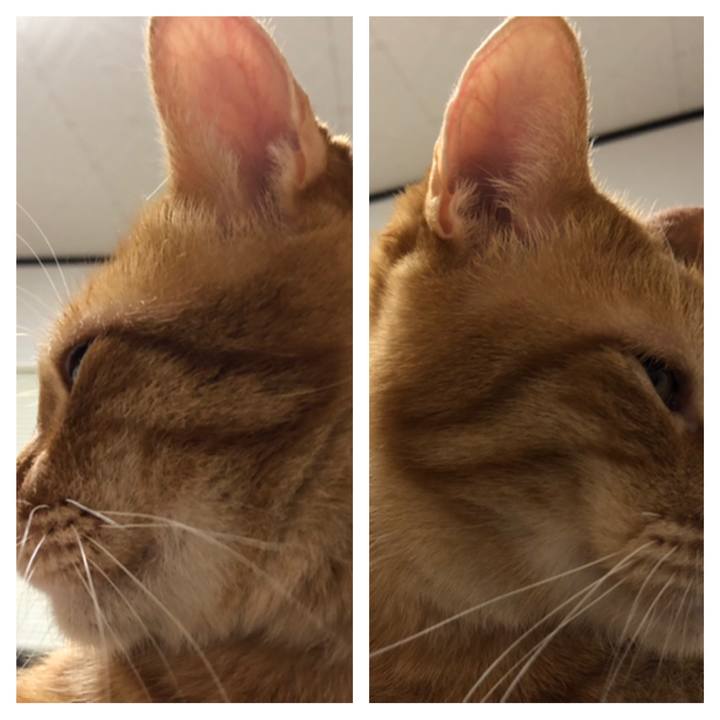 2f477fd2 8646 4609 8b03 545a8dacd51b 1611926490595