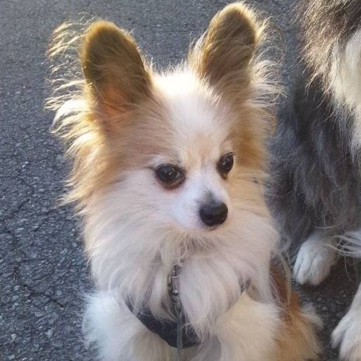 2f479449 d404 43fa 9619 0166c728ff77 1771206205469