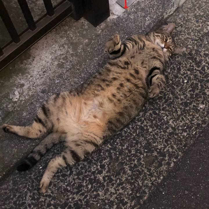 2f47fe7f a251 431b a2bc 6f7ac6486fdb 1568024302532