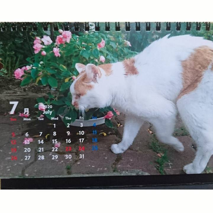 2f48271a cdf9 402e bb4f c58e75fc96d6 1593842202856