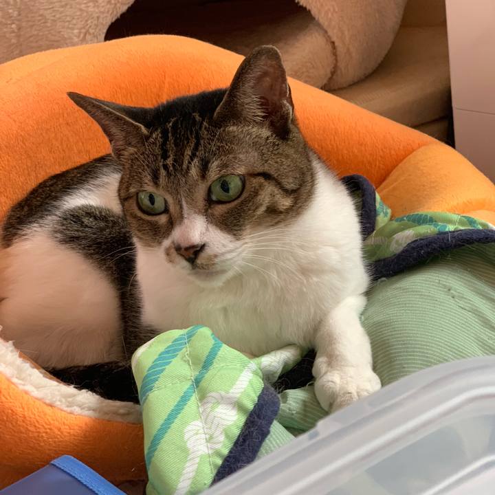 2f4831e8 ca93 467e 9a10 8004bde1c93b 1568940532720