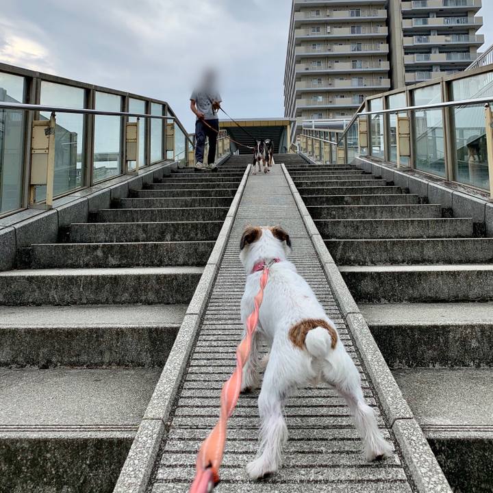 2f4850b2 d6aa 4d32 ab2c 3b47b29d16a3 1601809469155