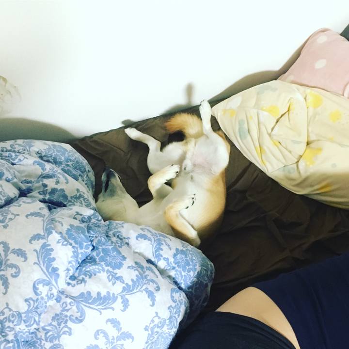 2f489961 5ed4 413c bd12 a90f25511462 1509200587973