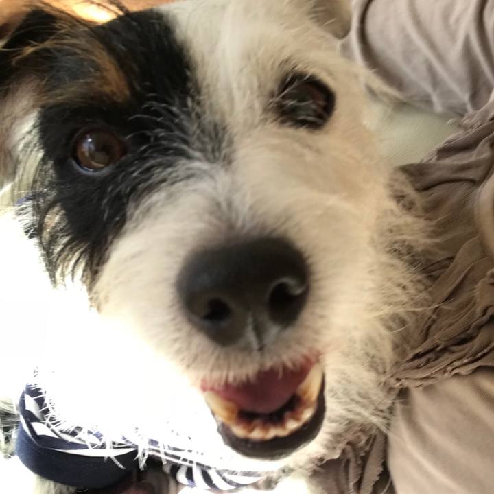 2f48a57f 5d31 4bf0 bb4a eec9938fd9c4 1540871453508