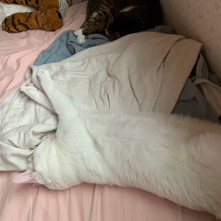 2f48c8ca 83c2 4aec 8acf 99524bf21802 1599295315127