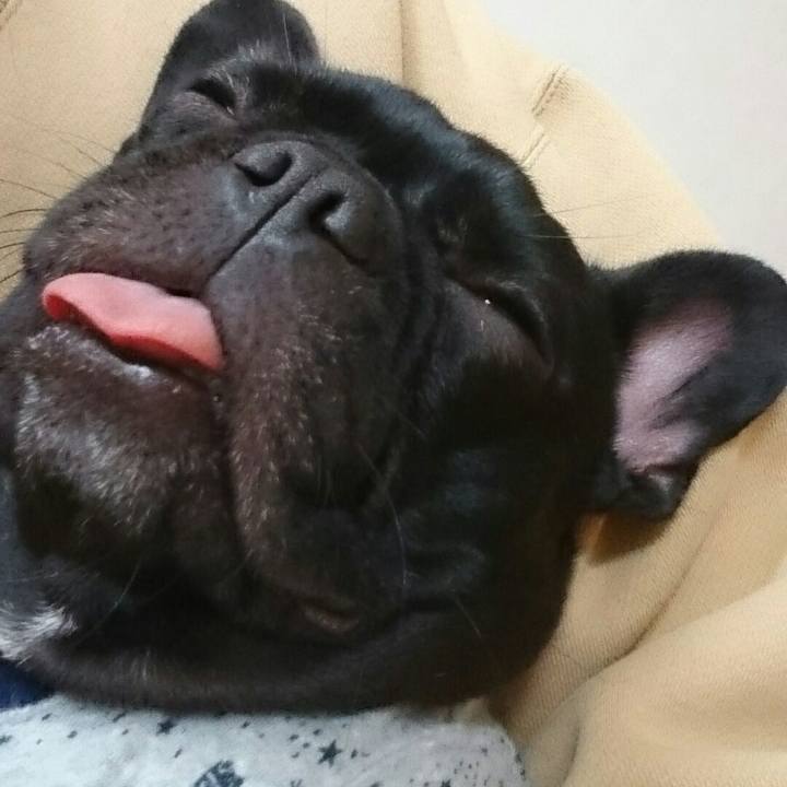 2f48d85e 5715 4d33 9826 508fb2b9508d 1510667565063