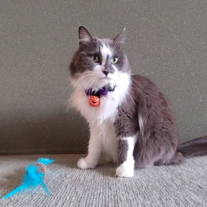 2f48eaf1 9ec6 4726 bd29 2af2eec55e67 1727241897925