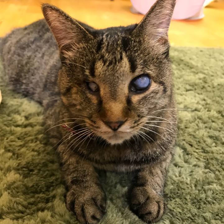 2f48fc8d b100 45b7 84fb c802ed5c50e4 1533207725625