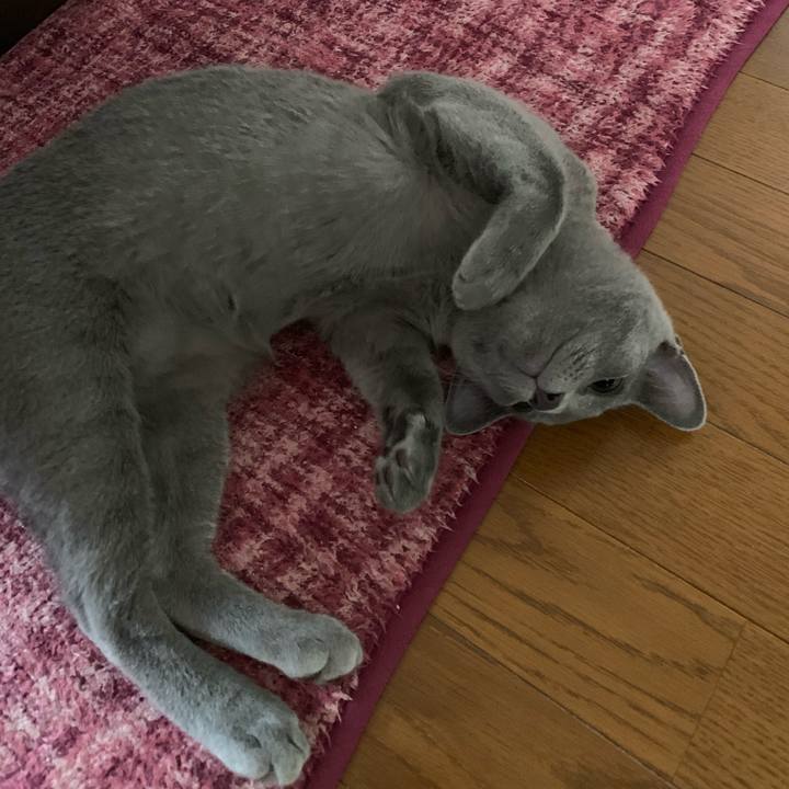 2f490a0e 738f 48b3 b3b1 83055afd241b 1574555056058