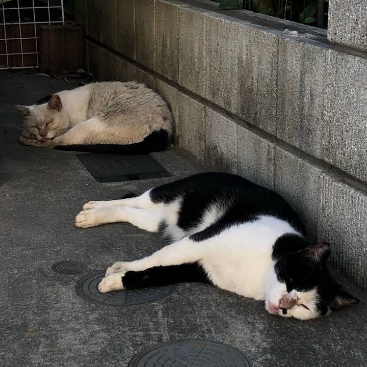 2f492979 e72a 4032 be3b 96fd16ef2fd9 1568317469788